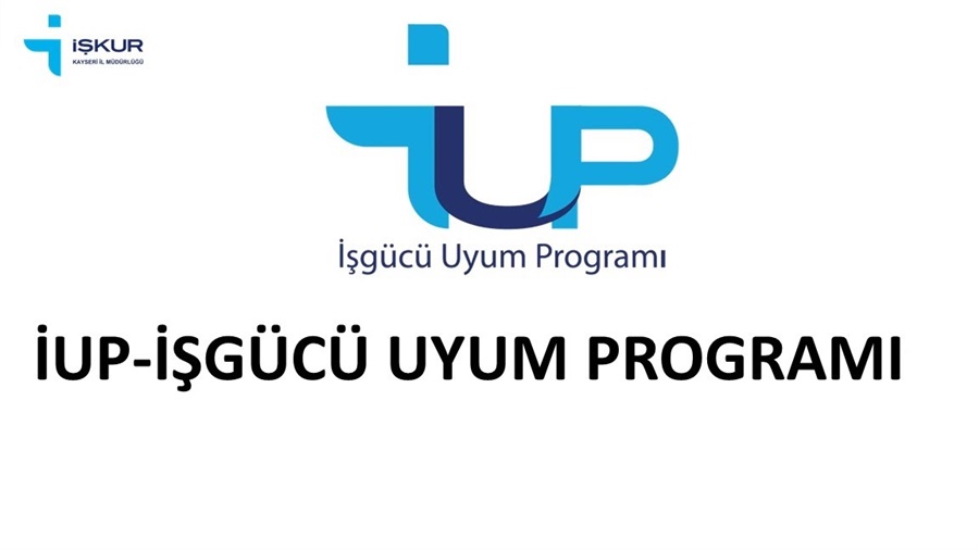 İş Gücü Uyum Programı (IUP) Katılımcı Bilgisi