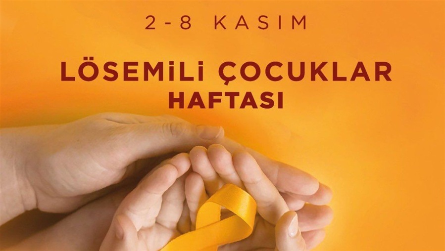 Kurumumuzda LÖSEV Semineri Gerçekleştirildi.